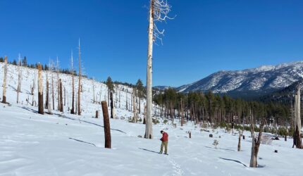 Man hiking through snow in upper truckee